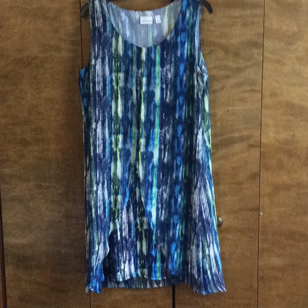 Multi colored dress